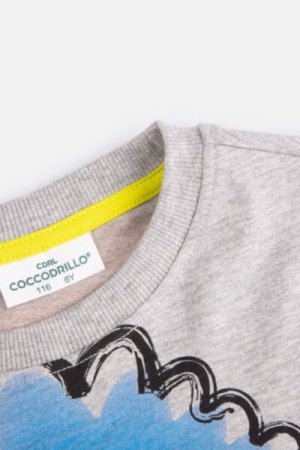 COCCODRILLO t-shirt DIGITAL BOY KIDS, hallid, ZC4143103DBK-019-122, 122 cm 