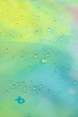 COCCODRILLO jope, kirju, suurus 