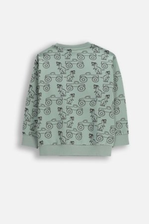 COCCODRILLO pusa, roheline, WC6132102NBK-011-116, 116 cm 