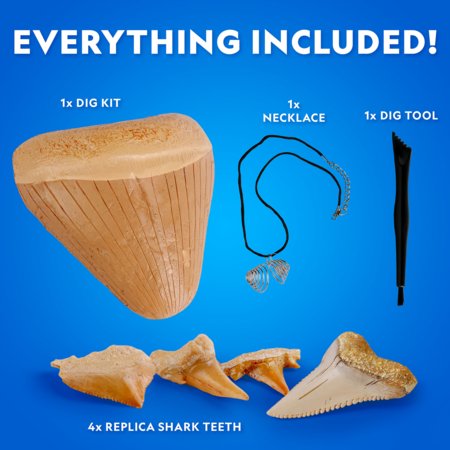 NATIONAL GEOGRAPHIC komplekt Shark Tooth Dig, RTNGSHARK2 