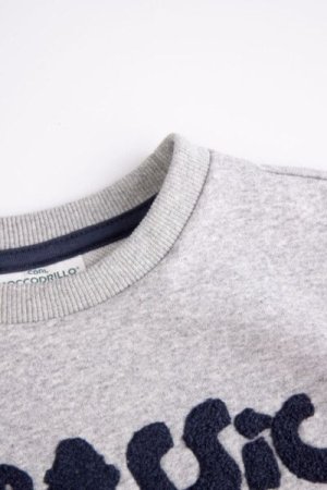 COCCODRILLO sweatshirt DIGITAL BOY KIDS, hall, ZC4132101DBK-019-122, 122 cm 