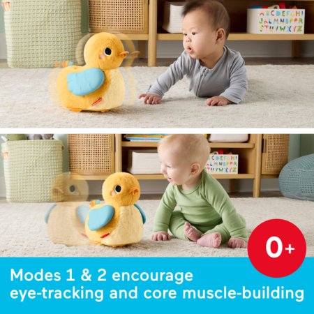 FISHER-PRICE 4 ühes pardipoja mänguasi, JMX99 