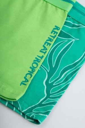 COCCODRILLO aluspüksid-bokserid, värvilised, suurus 