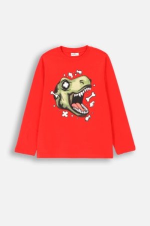 COCCODRILLO t-shirt EVERYDAY BOY A, punased, ZC4143101VBA-009-152, 152 cm 