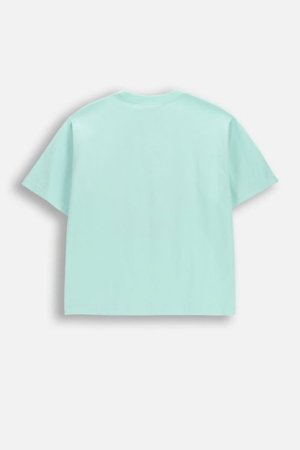 COCCODRILLO lühikeste varrukatega t-särk, rohelised, WC6143201SGJ-011-140, 140 cm 