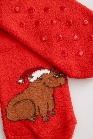 COCCODRILLO sokid, punased, ZC5382706MER-009-026, 26-30 cm 