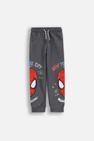 COCCODRILLO püksid, hallid, 