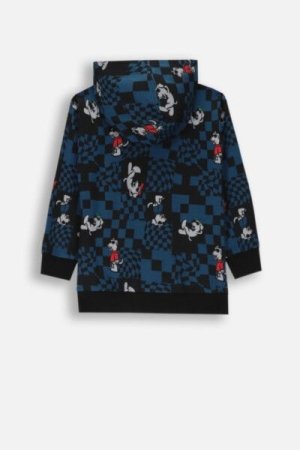 COCCODRILLO hooded pullover with zipper ACADEMY BOY KIDS, värviline, ZC4132401ABK-022-092, 92 cm 