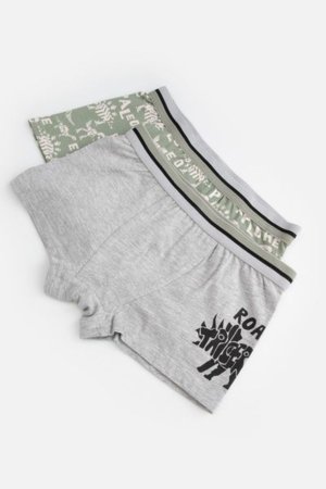 COCCODRILLO aluspüksid PANTIES, värvilised, WC5409504PAN-022-164, 164 cm 