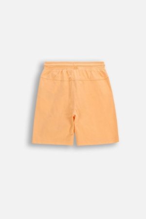 COCCODRILLO lühikesed püksid, kreemi värv, suurus 