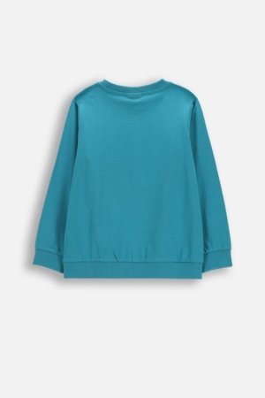 COCCODRILLO pikkade varrukatega t-särk, rohelised, WC6143104FBK-013-110, 110 