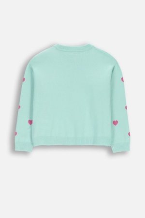 COCCODRILLO kampsun, roheline, WC6172106CSG-031-110, 110 cm 