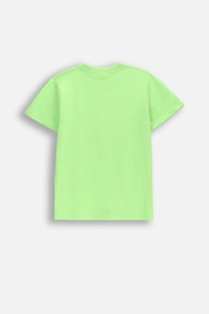 COCCODRILLO lühikeste varrukatega särk EVERYDAY BOY C, roheline, WC5143211VBC-011-164, 164 cm 