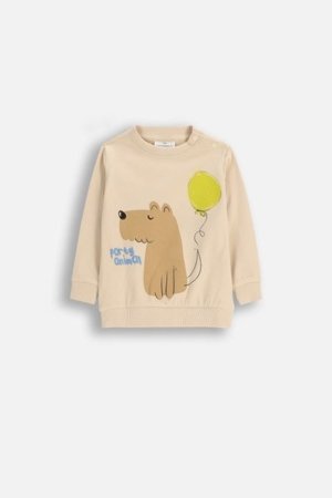 COCCODRILLO t-särgid, kreemjas, cm 