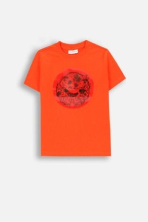 COCCODRILLO t-shirt GRUNGE SWAMP BOY KIDS, punased, ZC4143201GBK-009-122, 122 cm 