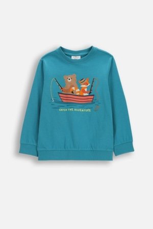 COCCODRILLO pikkade varrukatega t-särk, rohelised, WC6143104FBK-013-110, 110 