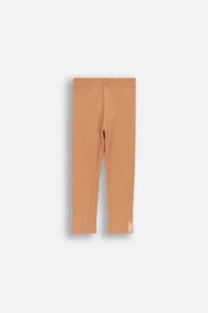 COCCODRILLO retuusid, pruunid, 