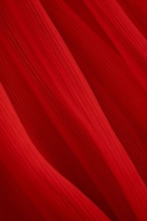 COCCODRILLO seelik, punane, ZC5124202EJG-009-116, 116 cm 