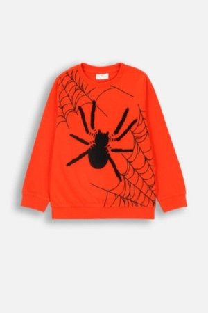 COCCODRILLO t-shirt GRUNGE SWAMP BOY KIDS, punased, ZC4143102GBK-009-122, 122 cm 