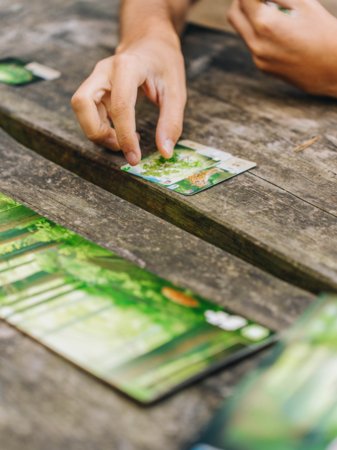 BRAIN GAMES mäng Forest Shuffle Metsas EE, BRG#FOSHEE 