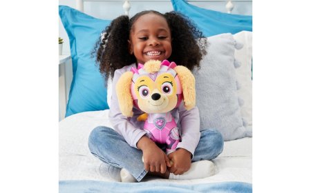 PAW PATROL plüüsis mänguasi Skye, 6068148 