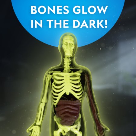 NATIONAL GEOGRAPHIC komplekt Glow in the Dark Human Body, RTHUMBODY