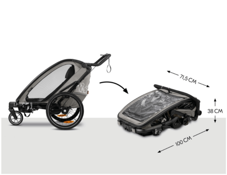 HAUCK käru/jalgrattahaagis 2 lapsele BIKE N WALK DUO, Light grey, 515082 