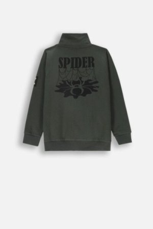 COCCODRILLO sweatshirt GRUNGE SWAMP BOY JUNIOR, roheline, ZC4132202GBJ-011-164, 164 cm 