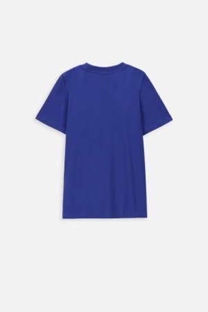 COCCODRILLO lühikeste varrukatega t-särk EVERYDAY BOY A, cobalt, WC4143219VBA-032- 