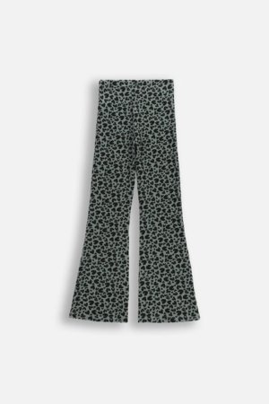 COCCODRILLO retuusid, rohelised, cm 