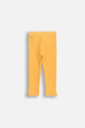 COCCODRILLO säärised MAXITROPIC GIRL NEWBORN, oranž, WC5122103MGN-006-086, 86 cm 