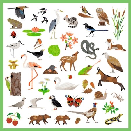DJECO kleepsukomplekt Fauna (160 tk), DJ09285