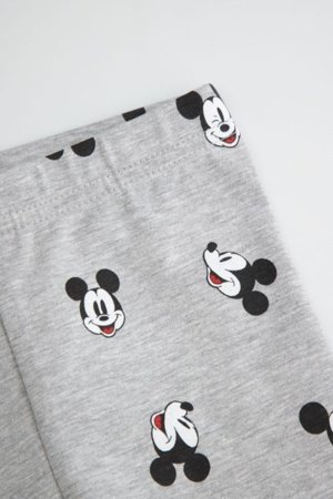 COCCODRILLO retuusid, hallid, 