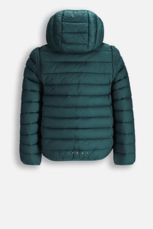 COCCODRILLO jope, roheline, suurus 