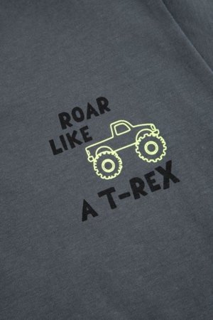 COCCODRILLO pikkade varrukatega t-särk, hallid, cm 