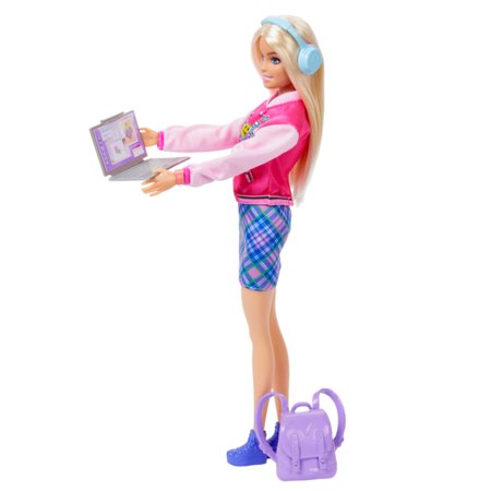 BARBIE koolimängu komplekt, HRG84 