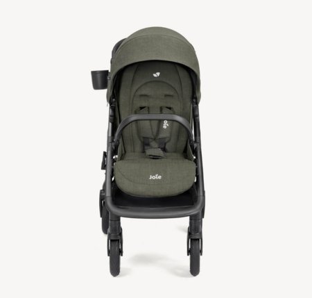 JOIE jalutuskäru MYDRIFT, Fern, S2404BAFRN000 