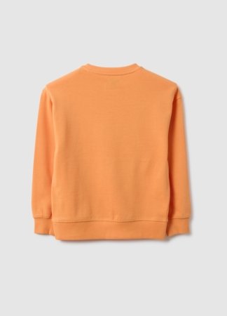 OVS pusa, cm, 002554822 