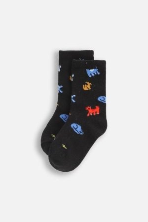 COCCODRILLO sokid SOCKS BOY, värviline, 