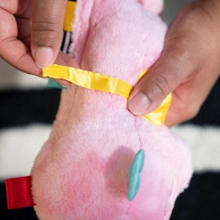 BABY EINSTEIN rahustav pehme mänguasi Seahorse Soother, roosa, 17400-013 