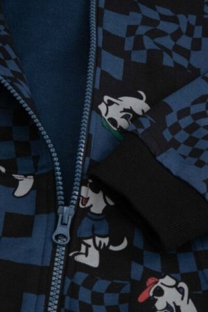COCCODRILLO hooded pullover with zipper ACADEMY BOY KIDS, värviline, ZC4132401ABK-022-092, 92 cm 