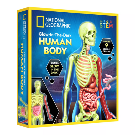 NATIONAL GEOGRAPHIC komplekt Glow in the Dark Human Body, RTHUMBODY