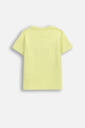 COCCODRILLO lühikeste varrukatega t-särk, kollased, cm 