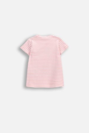 COCCODRILLO lühikeste varrukatega t-särk, roosad, 