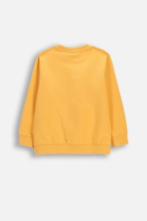 COCCODRILLO pusa, oranž, cm 