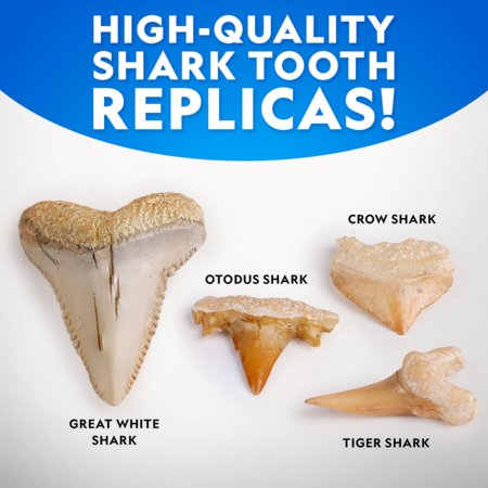 NATIONAL GEOGRAPHIC komplekt Shark Tooth Dig, RTNGSHARK2 