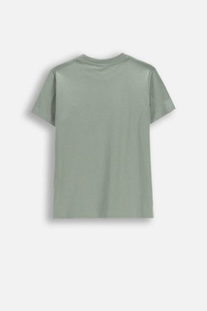 COCCODRILLO lühikeste varrukatega t-särk, rohelised, suurus 