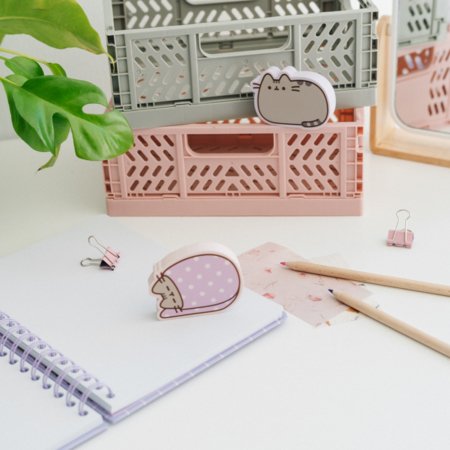 PUSHEEN MOMENTS jumbo kustutuskummide komplekt, 2 tk, GOM067 