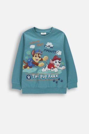 COCCODRILLO pikkade varrukatega t-särk, rohelised, 