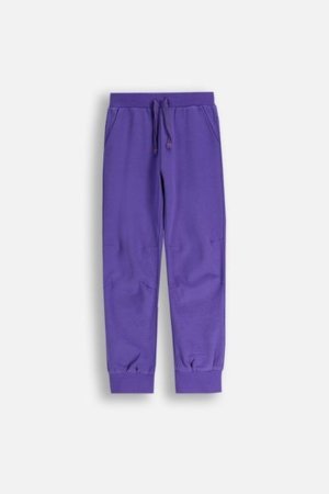 COCCODRILLO püksid EVERYDAY GIRL A, violett, ZC5120101VGA-016-140, 140 cm 
